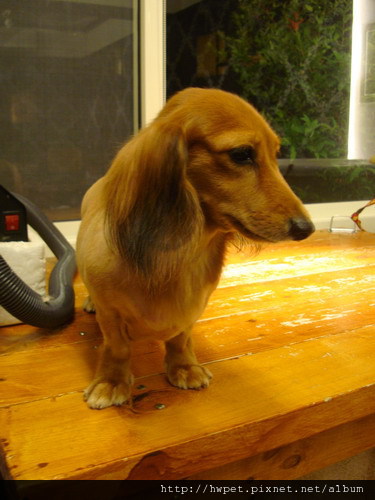 DSC02966_resize