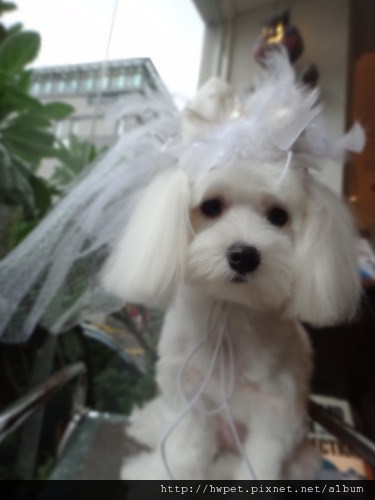 DSC01073_resize