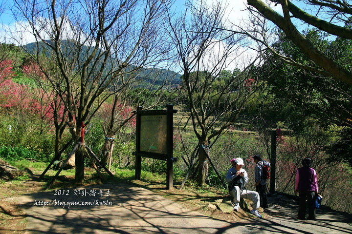 20120212 270_調整大小.jpg