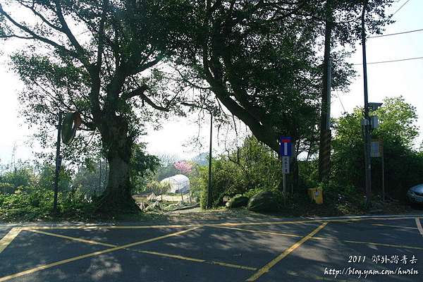 陽明春曉探春櫻 十八份拐圳步道 陽峰古道 湖田國小 郊外踏青去 痞客邦 陽明春曉探春櫻 十八份拐圳步道 陽峰古道 湖田國小 郊外踏青去 痞客邦