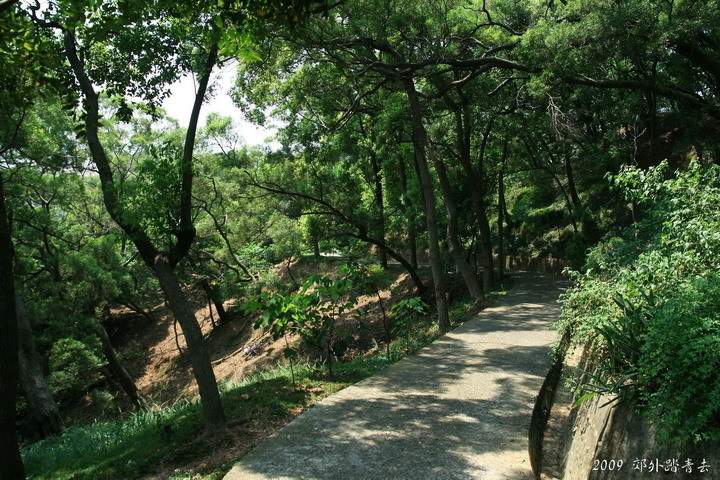 走訪南苗：米市街、城隍廟、文昌祠、貓貍山公園~~