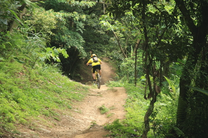 樹林踏青：大同山、青龍嶺、大棟山步道連走山佳車站~~~