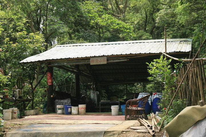 樹林踏青：大同山、青龍嶺、大棟山步道連走山佳車站~~~