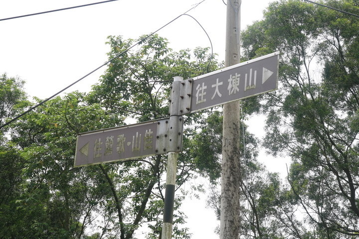 樹林踏青：大同山、青龍嶺、大棟山步道連走山佳車站~~~