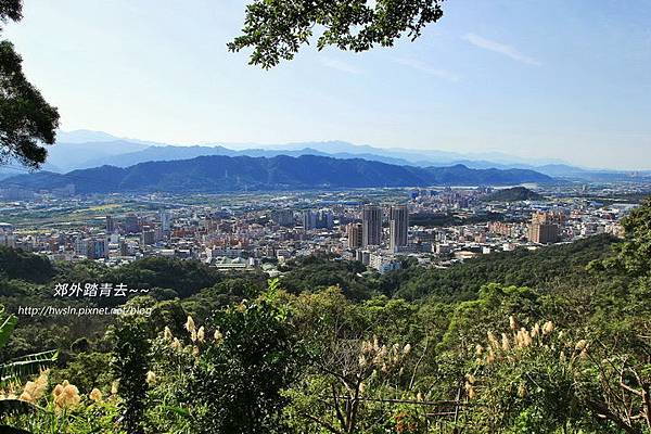 鶯歌,鶯歌石,鶯歌蛋山,登山步道,小百岳,桃園景點