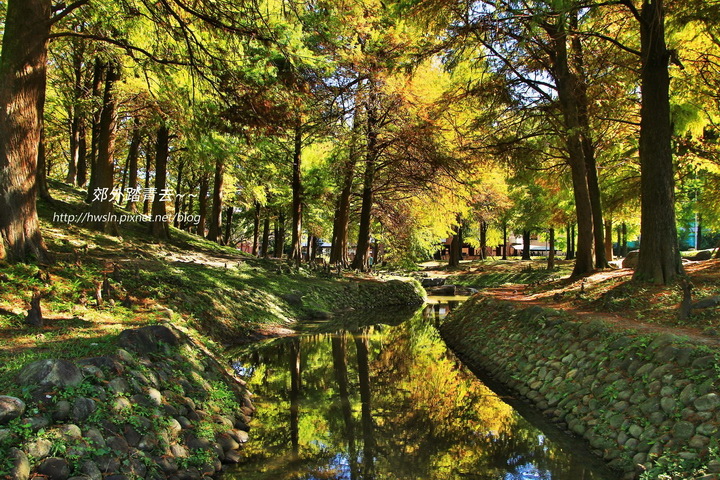 羅東運動公園,北成自行車道,落羽松秘境,虹明湖,北成圳,龜島湧泉廣場,宜蘭深秋初冬,宜蘭,羅東,落羽松,單車,車站