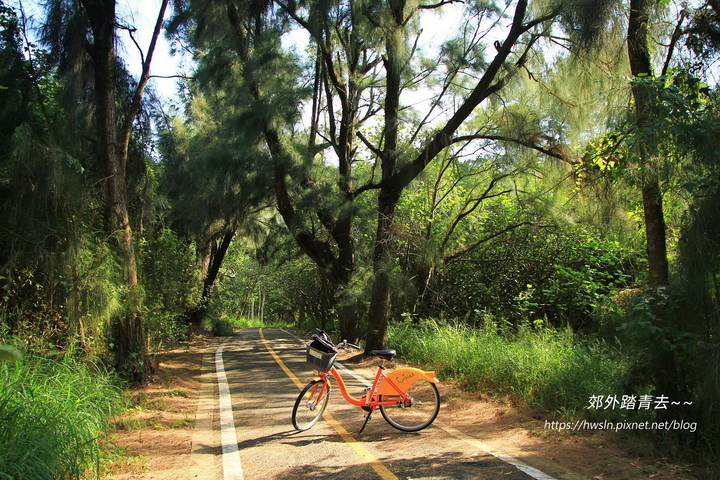 竹南,苗栗,竹南濱海森林遊憩區,單車,龍鳳漁港,親子之森,沙灘,濕地,車站,鐵道,公園,老街,苗栗景點