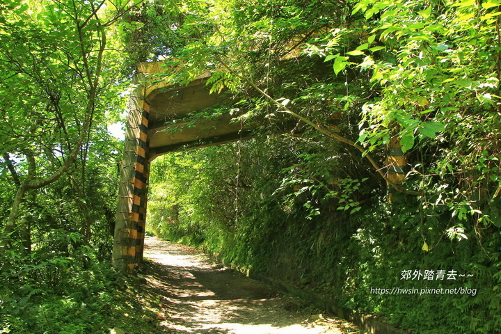 佐倉步道明隧道