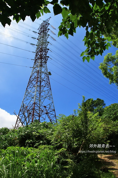 佐倉步道電塔