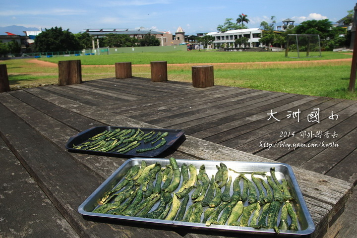 20130619 117.jpg