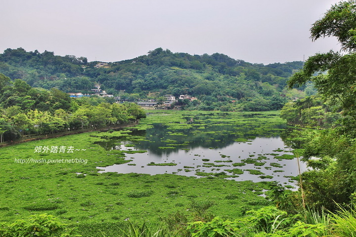 漫步十二寮：峨眉湖步道、細茅埔吊橋、富興茶廠~~