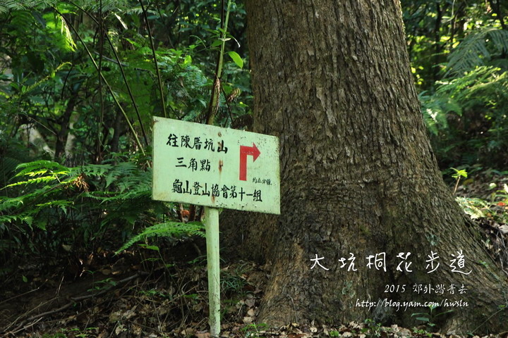 陳厝坑山的登山口