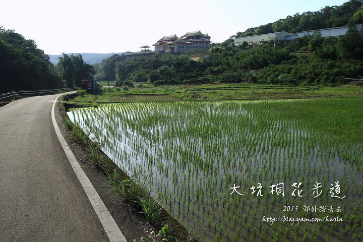 遠眺桃園威天宮，其所供奉關公神像號稱東南亞室內最大