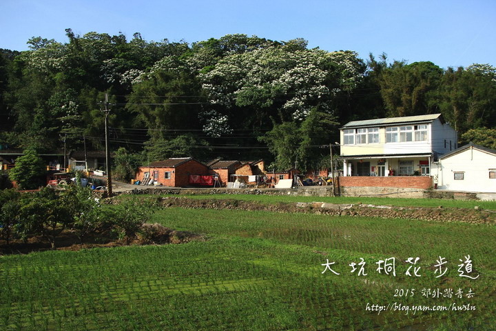 此地屬於陳厝坑，左邊再過去是南崁頂