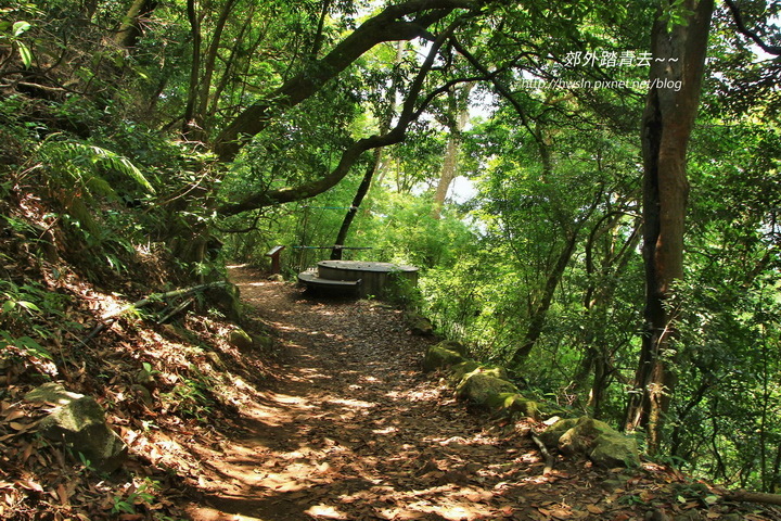 橫嶺古道綠蔭小徑