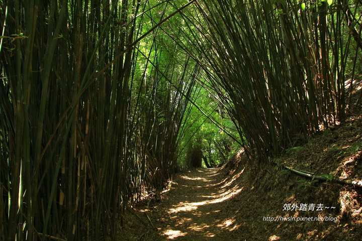 橫嶺古道,陽明山,半嶺步道,湖底步道,湖山國小步道,紅壇,楓香林,台北,橫嶺古道環狀步道,草山防空