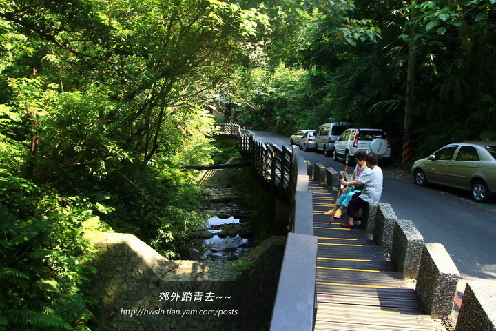 昆蟲,蝴蝶,攝影,登山,健行,步道,吳興街,糶米古道,德興煤礦,基隆景點