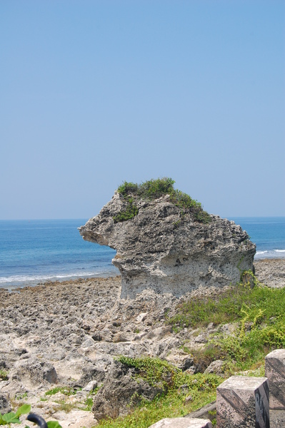 DSC_3103.JPG DSC_3103.JPG