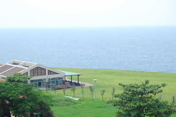 DSC_3131.JPG DSC_3131.JPG