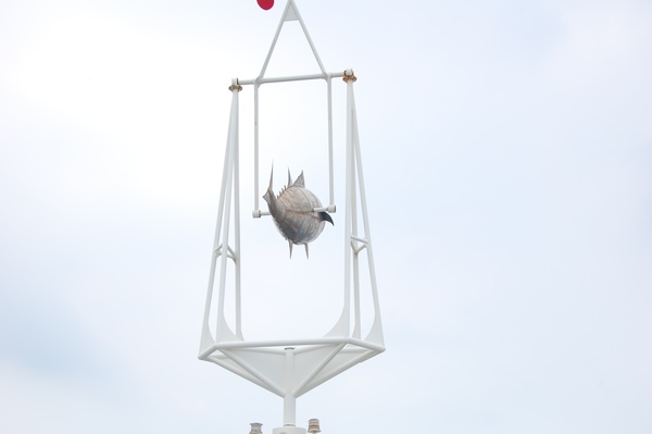 DSC_3184.JPG DSC_3184.JPG