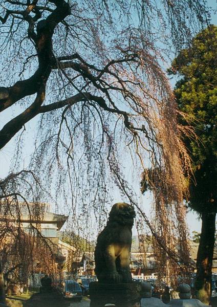 奈良冰室神社006.jpg