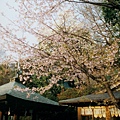 上野公園008.jpg