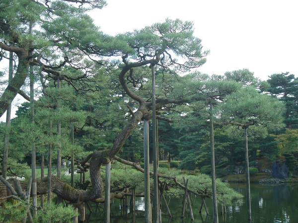 金澤兼六園