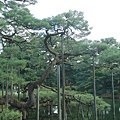 金澤兼六園