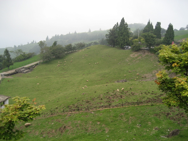 2007清境風車節