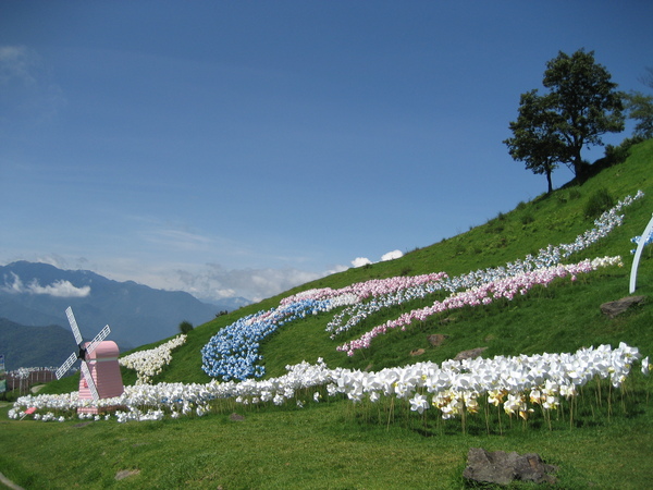 2007清境風車節