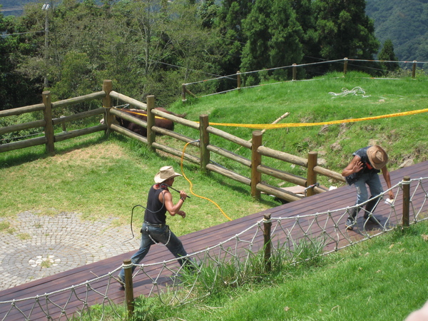 2007清境風車節