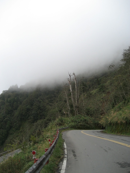 上太平山途中亂照