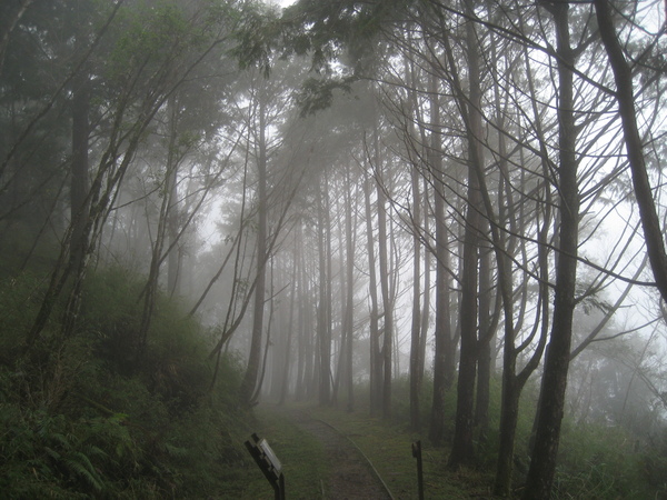 見晴步道