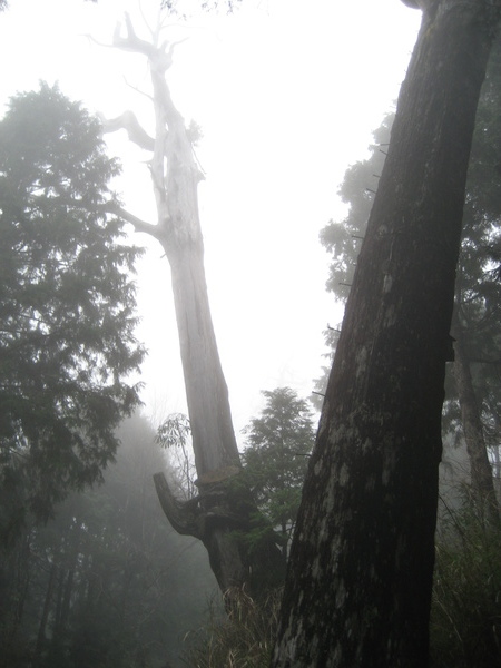 太平山莊