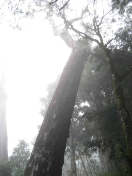 太平山莊