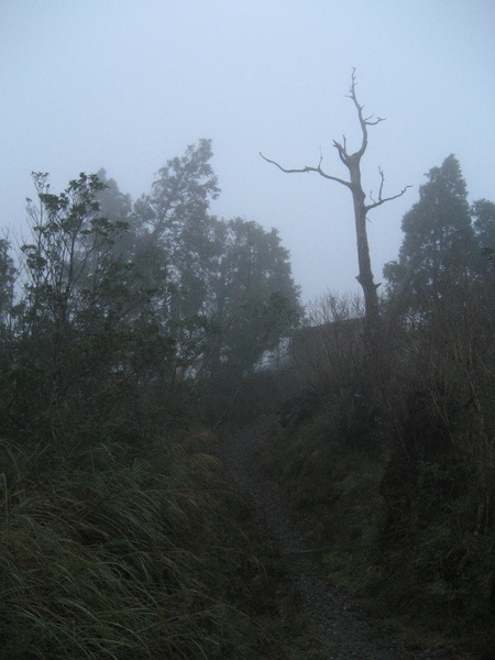 望洋山步道