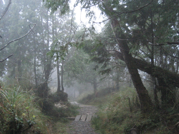 望洋山步道