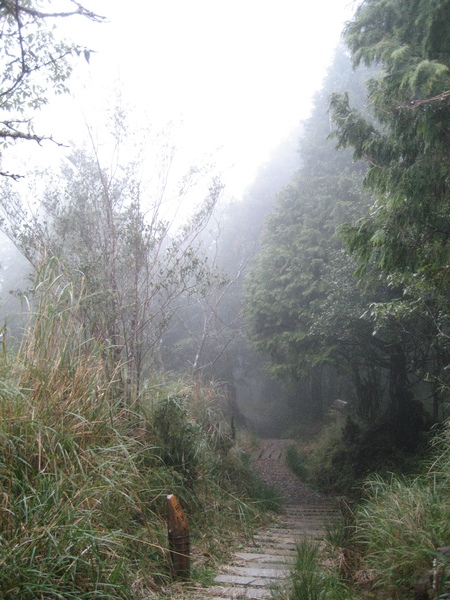 望洋山步道