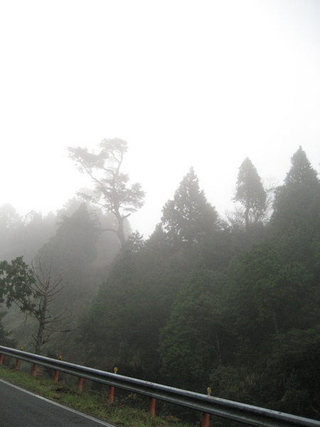 清晨的翠峰湖