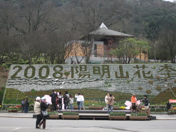 2008陽明山花季