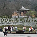 2008陽明山花季