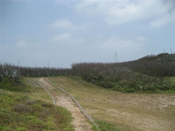 本島南環