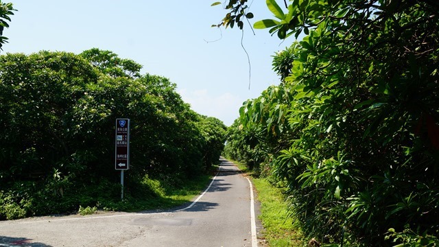 【小摺慢騎】宜蘭濱海自行車道，慢騎欣賞太平洋與龜山島