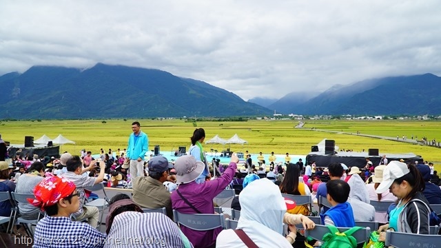 池上秋收稻穗藝術節