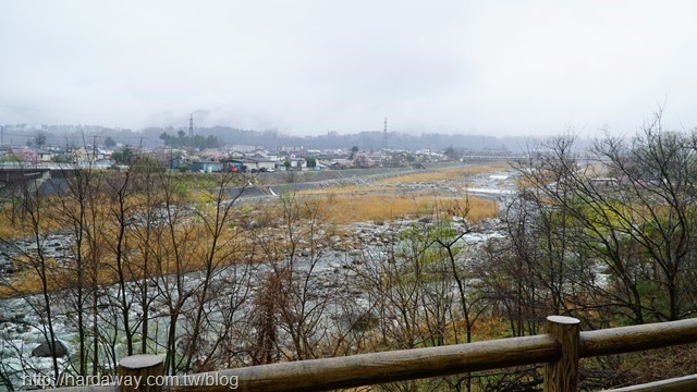 山梨山高神代櫻