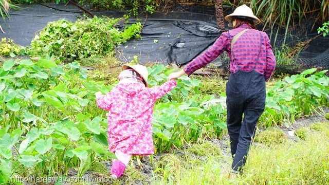 蓮成觀光休閒農場