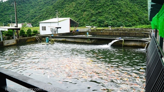 大坑休閒魚場