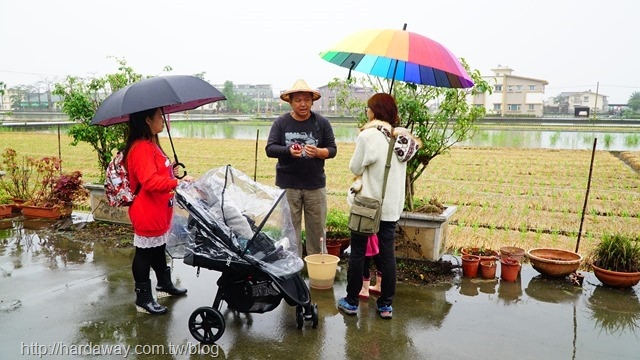 蘭城花事休閒農場