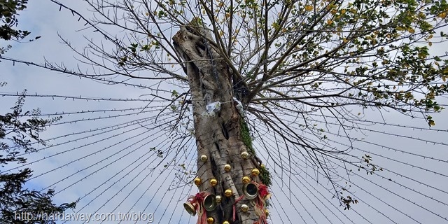 台東美術館