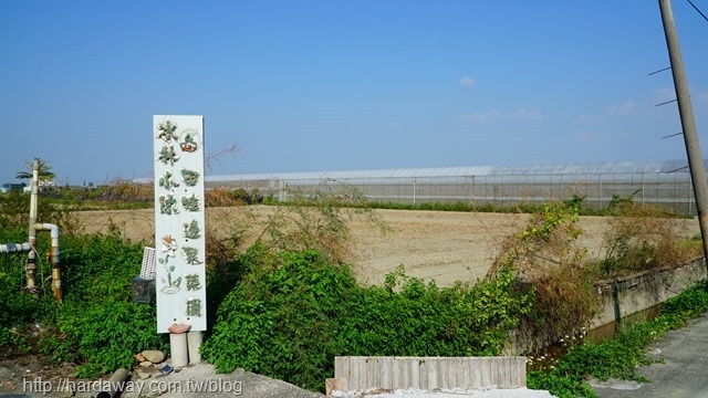 水陳小林的田畦邊果菜園